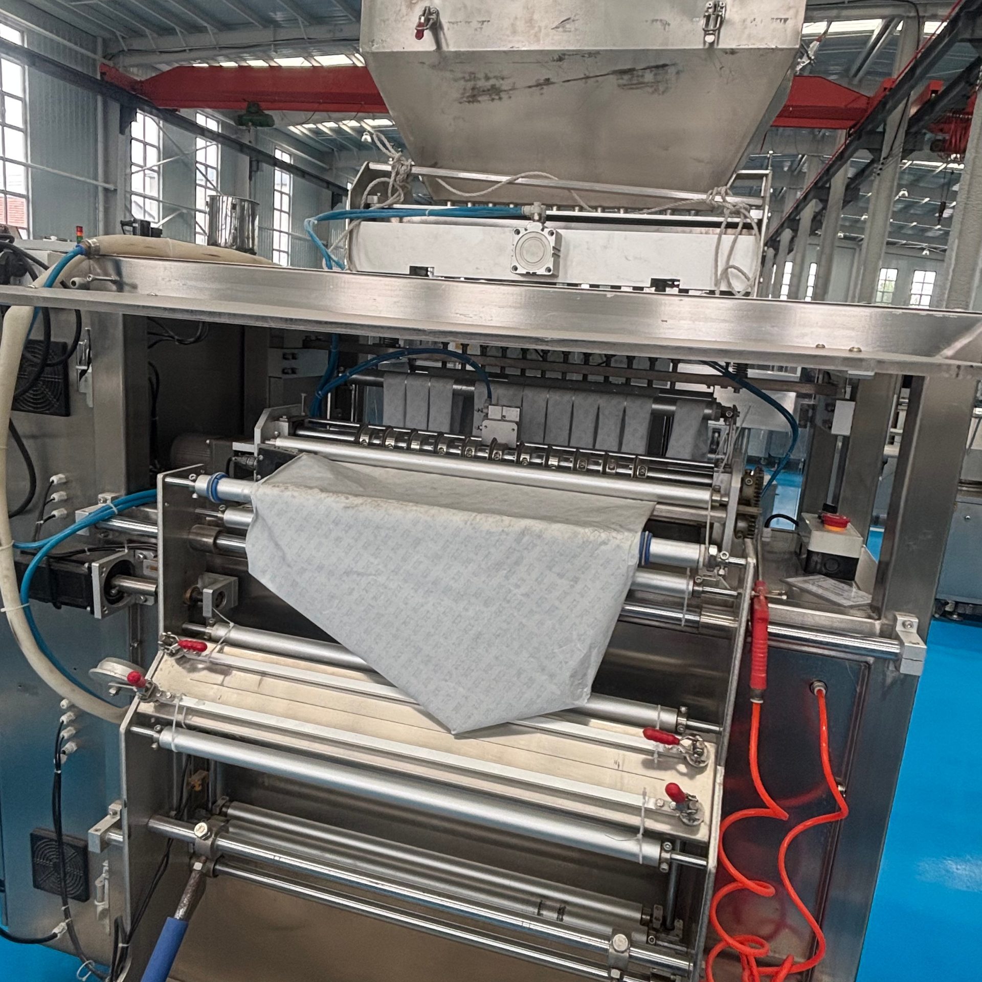 Used Packaging Machine &mdash; Model 12 lane image 3