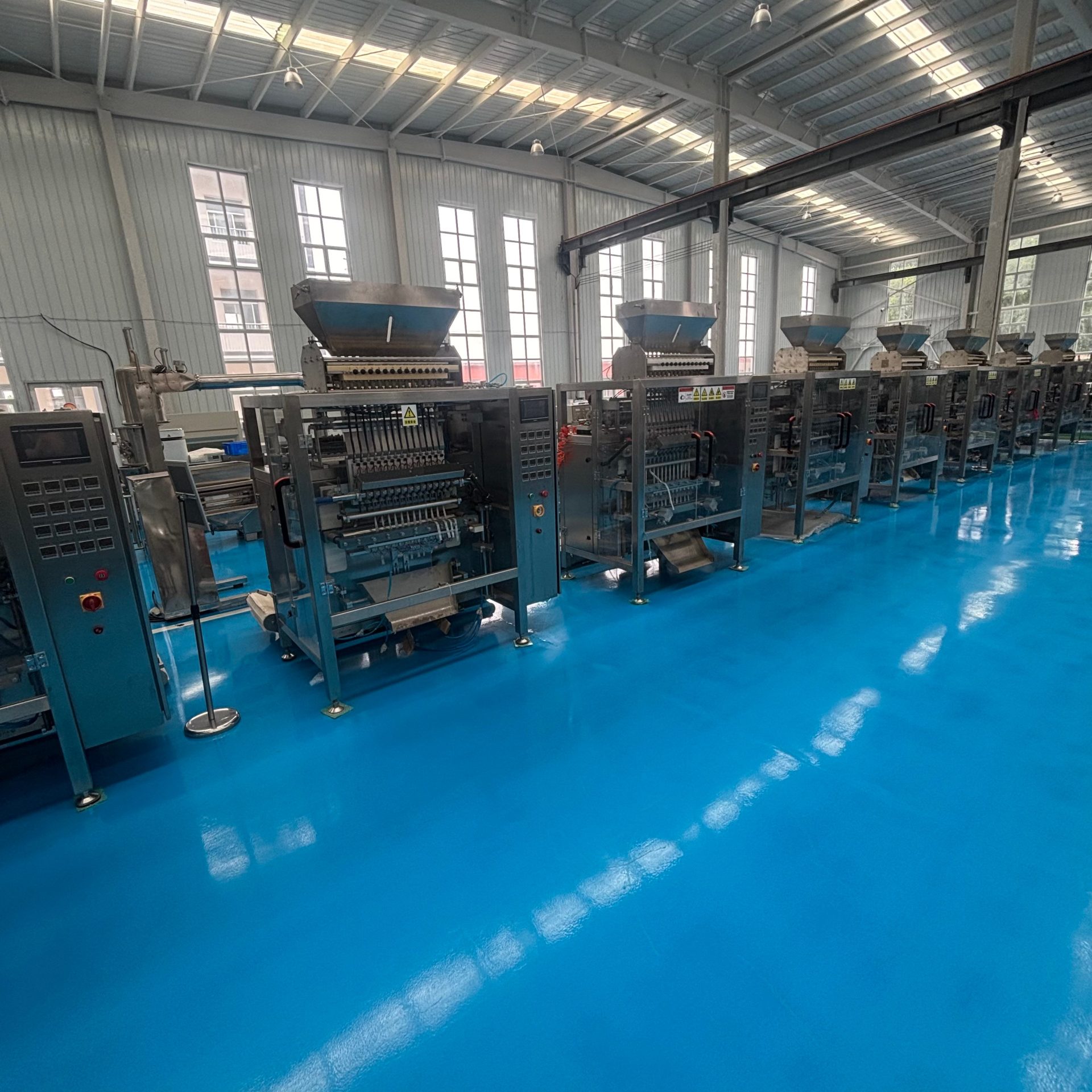 Used Multi-Lane Powder & Granule Packaging Machine &mdash; Model 14 lane image 6