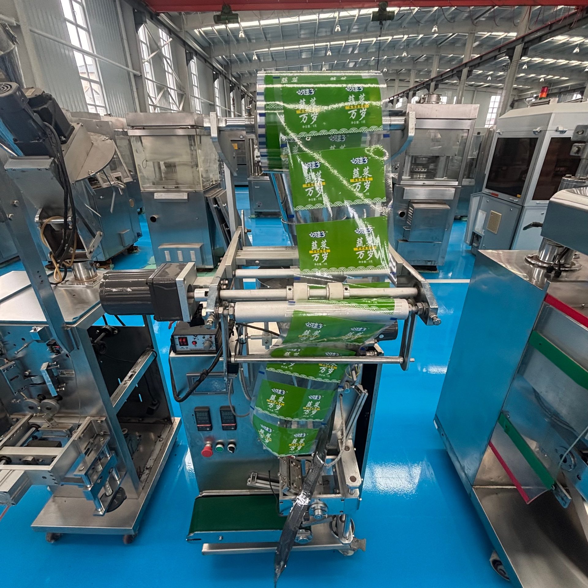 Used Packaging Machine &mdash; Model HS-240 image 5