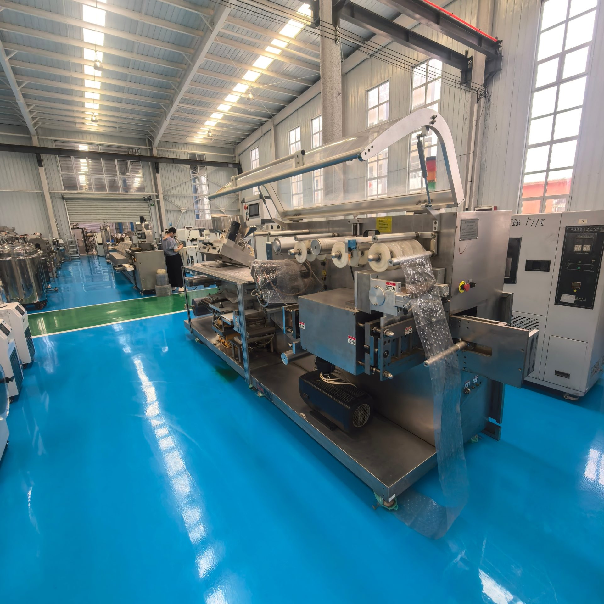 Used Blister Packaging Machine &mdash; Model 260 image 3