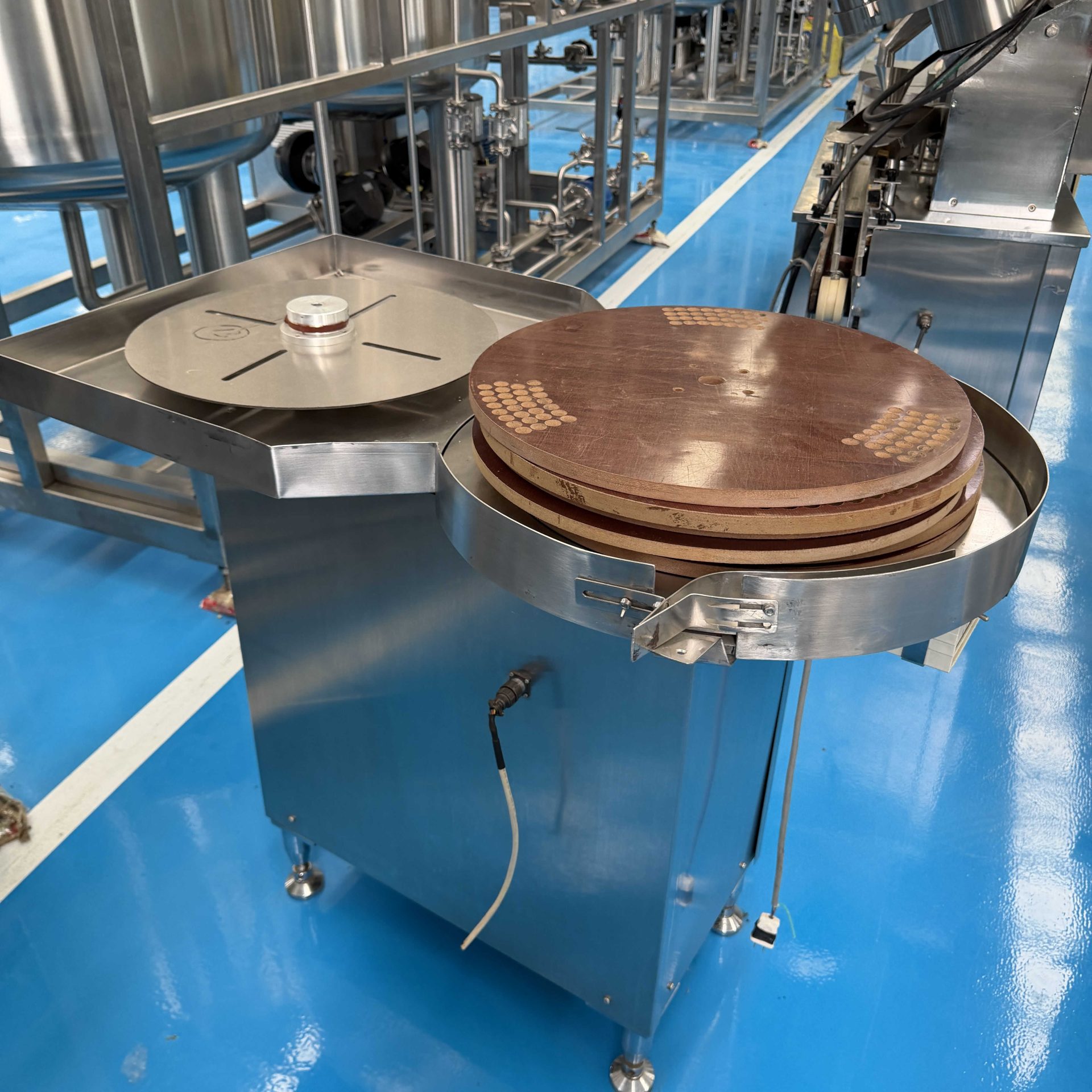 Used Bottle Conveyor &mdash; Model PL-2000 image 4