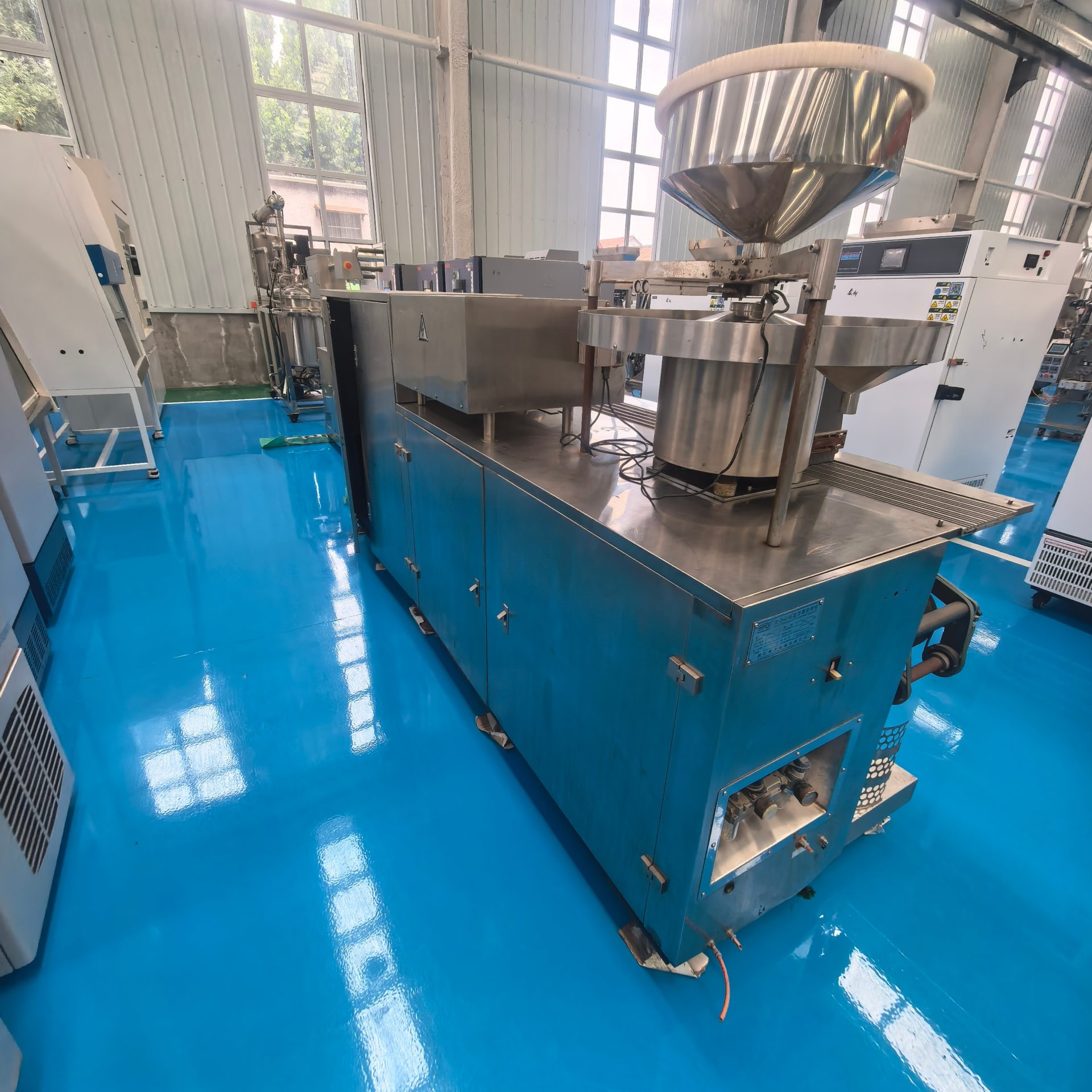 Used Blister Packaging Machine &mdash; Model 220 image 3