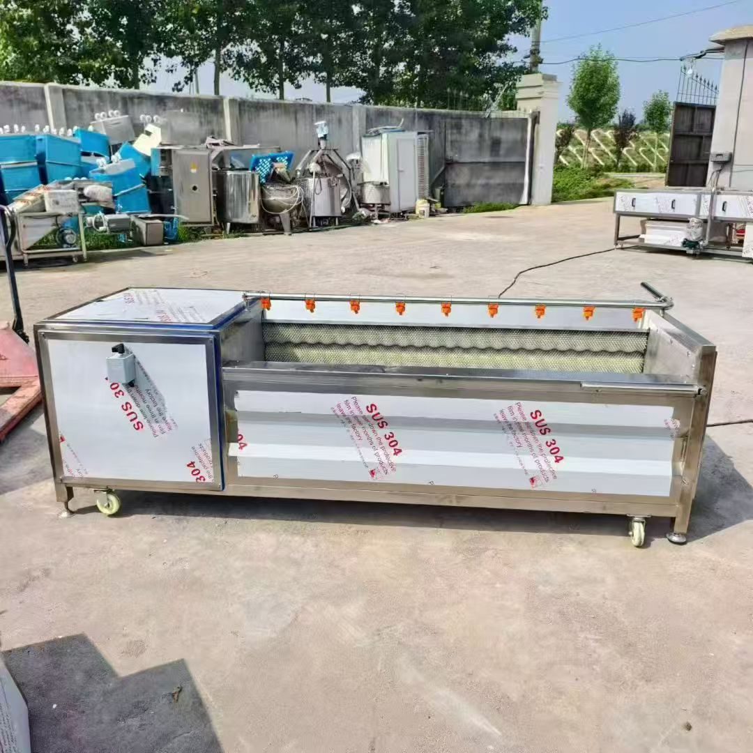 Used Food Washing Machine &mdash; Model 3